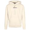 Basic hoodie Thumbnail
